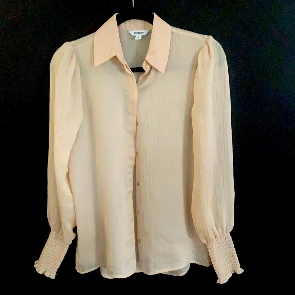 Light pink sheer long sleeve